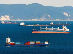 В порту Новороссийска обнаружили опасных «пассажиров»