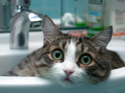 Стало известно, когда в кранах новороссийцев появится вода