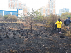 На пепелище Прилагунья в Новороссийске нашли гривны