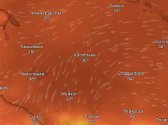 Пожароопасность и +37 градусов — когда новороссийцам снова ждать жары