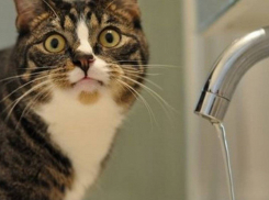 Вода в Новороссийске пойдет только вечером 