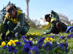 Новороссийская весна: в городе-герое ведутся масштабные работы по благоустройству после зимней «спячки»