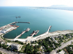 Новороссийскую военно-морскую базу можно сравнить с необычной птицей 