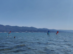 Погода в Новороссийске: жара и ветер не оставляют город 