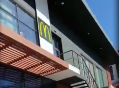 Крыса чувствует себя хозяйкой территории у «Макдоналдса» в Новороссийске