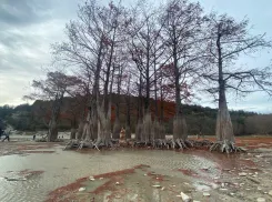 Погода в Новороссийске: мрачный и ветреный день 