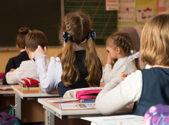 Теперь точно: из школ Новороссийска почти полностью исключат обществознание 