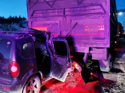 По числу аварий с электросамокатами Краснодарскому краю нет равных