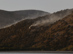 Костёр уничтожил огромную площадь заповедника Утриш 