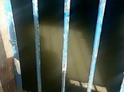 Новороссийцы собственноручно организовали «фекальный бассейн» в подвале