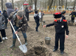 Новые деревья украсят парк Ленина в Верхнебаканском: «Сад памяти»