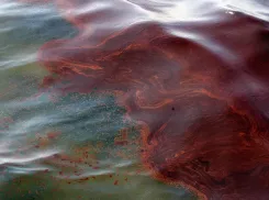 Ученые рассказали, как собираются бороться с нефтяной пленкой на поверхности Черного моря