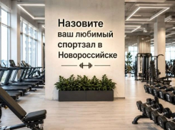Где новороссийцы предпочитают «прокачивать» себя? Узнали об этом ко Дню физкультурника