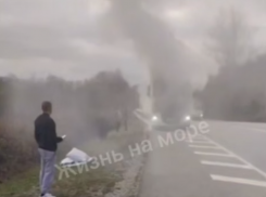 На трассе горит большегруз, а неизвестный насмерть сбил оленя в Краснодарском крае