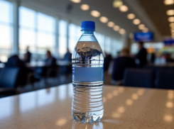  Почему так дорого? Цены на воду в аэропортах проверит Федеральная антимонопольная служба