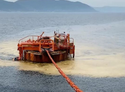 Эксперты посчитали сумму ущерба от августовского разлива нефти под Новороссийском
