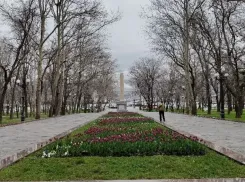 День земли, прогулок по парку предлагают отпраздновать новороссийцам