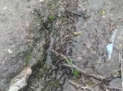 Что делать с “Утечкой грунтовых вод” в Новороссийске?