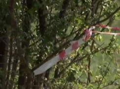 На Кубани тест ДНК сдали жители хутора, где была убита 12-летняя девочка