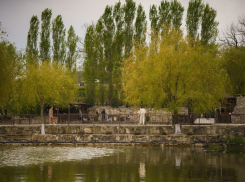 Майский отдых рядом с городом: загородная усадьба «Терзи» — природа, комфорт и развлечения!