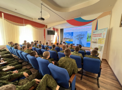 В Юго-Западном филиале «Россети Кубань» подвели итоги акции  «Безопасная энергетика»