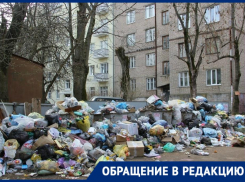 Новороссийцы устроили свалку в собственном дворе 