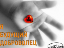 Для волонтеров-поисковиков в Новороссийске проводят занятия, а кто-то старается нажиться