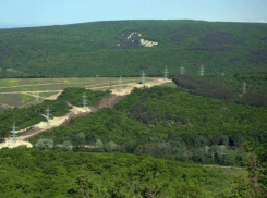 Энергетики расчистили 42 га трасс ЛЭП на юго-западе края