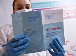 Стало известно, что грозит врачам Новороссийска за поддельные сертификаты о прививках 