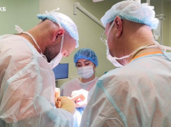 Ребенку, пострадавшему от укусов хаски, врачи восстановили нос