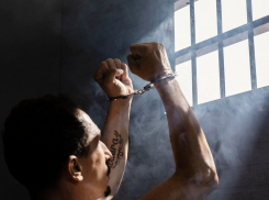 Бизнес с «аяуаской» не удался: в Краснодарском крае осудят духовного практика на 16 лет