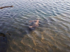 Тело утонувшего студента обнаружили на пляже в Новороссийске