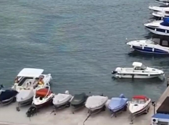 Новороссийцы переживают за своё здоровье и чистоту Цемесской бухты 