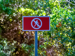 Внимание! Посещение лесов Новороссийска ограничено из-за высокой пожароопасности