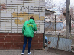 В Новороссийске ищут волонтеров в «Молодежный патруль» для правоохранительной деятельности