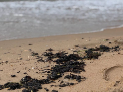 Пляжи в Анапе открывать нельзя: глава Роспотребнадзора сделала прогноз на сезон 2026 года