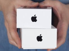 Apple могут проверить в России из-за удаления приложений VK