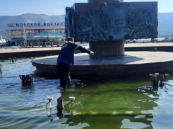 Собака решила принять фонтанные освежающие процедуры в самом видном месте Новороссийска