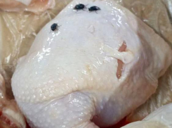 Белковый коктейль: о такой курице новороссийцы и не мечтали 