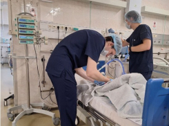 «Он не кричал. Кричал я»: что сейчас с мальчиком из Сочи, которому хаски откусили лицо