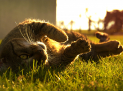 Какая погода ждет новороссийцев в ленивую пятницу