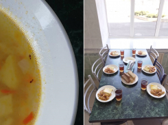 «Фотографии – фейк», - начальник управления образования Новороссийска не поверила в тараканов