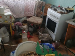 Услышали трупный запах соседи нехорошей квартиры в Новороссийске 
