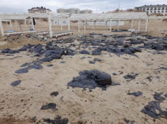 Ущерб от разлива мазута в Черном море оценили в 84,9 миллиардов 