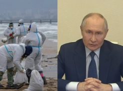 Владимир Путин недоволен тем, как в Черном море устраняют мазут
