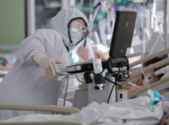 Попал ли Новороссийск в сводку по COVID-19