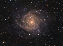 Гороскоп от “Блокнота” на 23-ое ноября — Раки, Львы и Девы в стрессе, а Скорпионы и Стрельцы в продуктиве