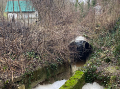 Ядовитые реки с Щелбы — полиция Новороссийска проводит проверку