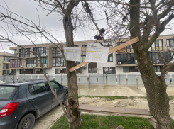 Мы заняты: власти Приморского района не явились на встречу с новороссийцами  