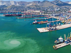 Экологический отдел Новороссийска обратил внимание на 100-кратное превышение нефти в воде